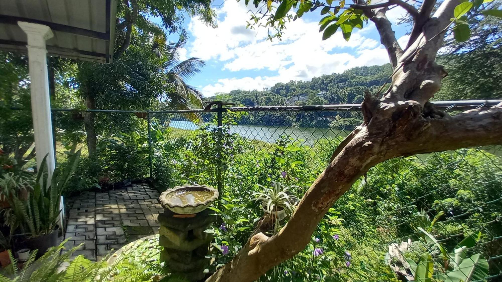 Hotel Mahaweli Shades Kandy Exteriér fotografie