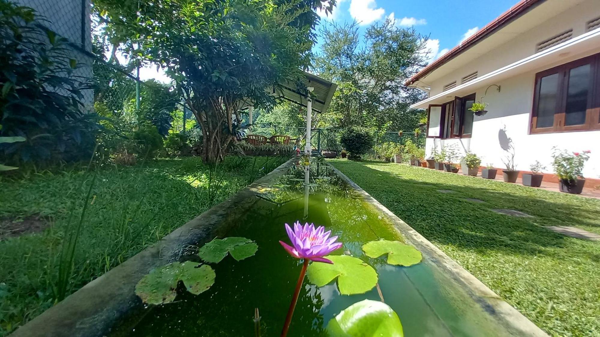 Hotel Mahaweli Shades Kandy Exteriér fotografie