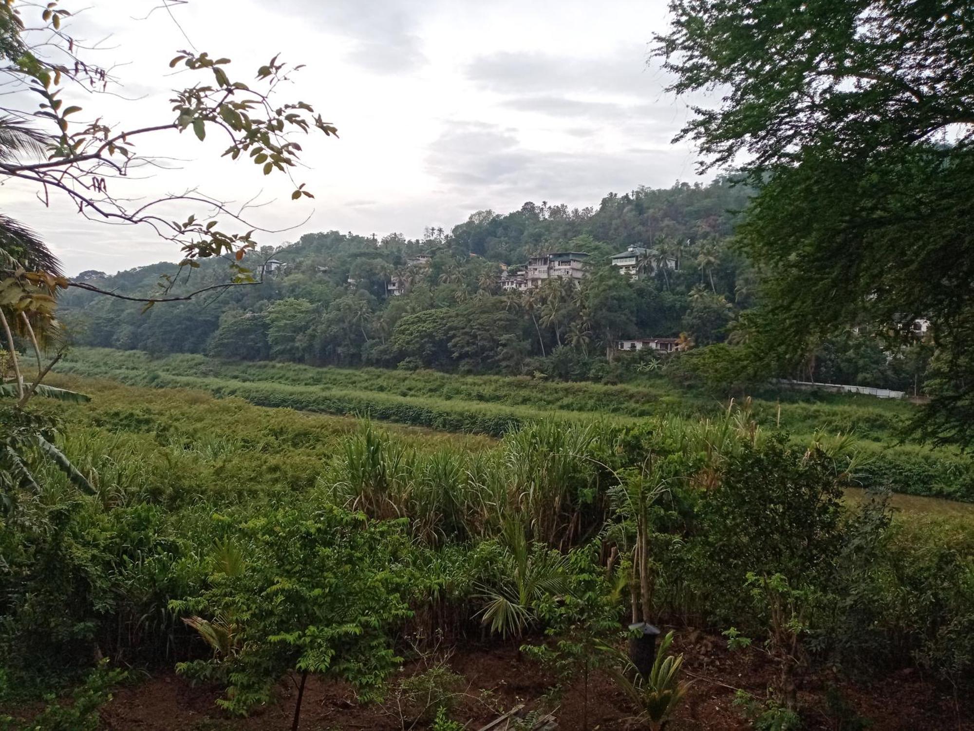 Hotel Mahaweli Shades Kandy Exteriér fotografie