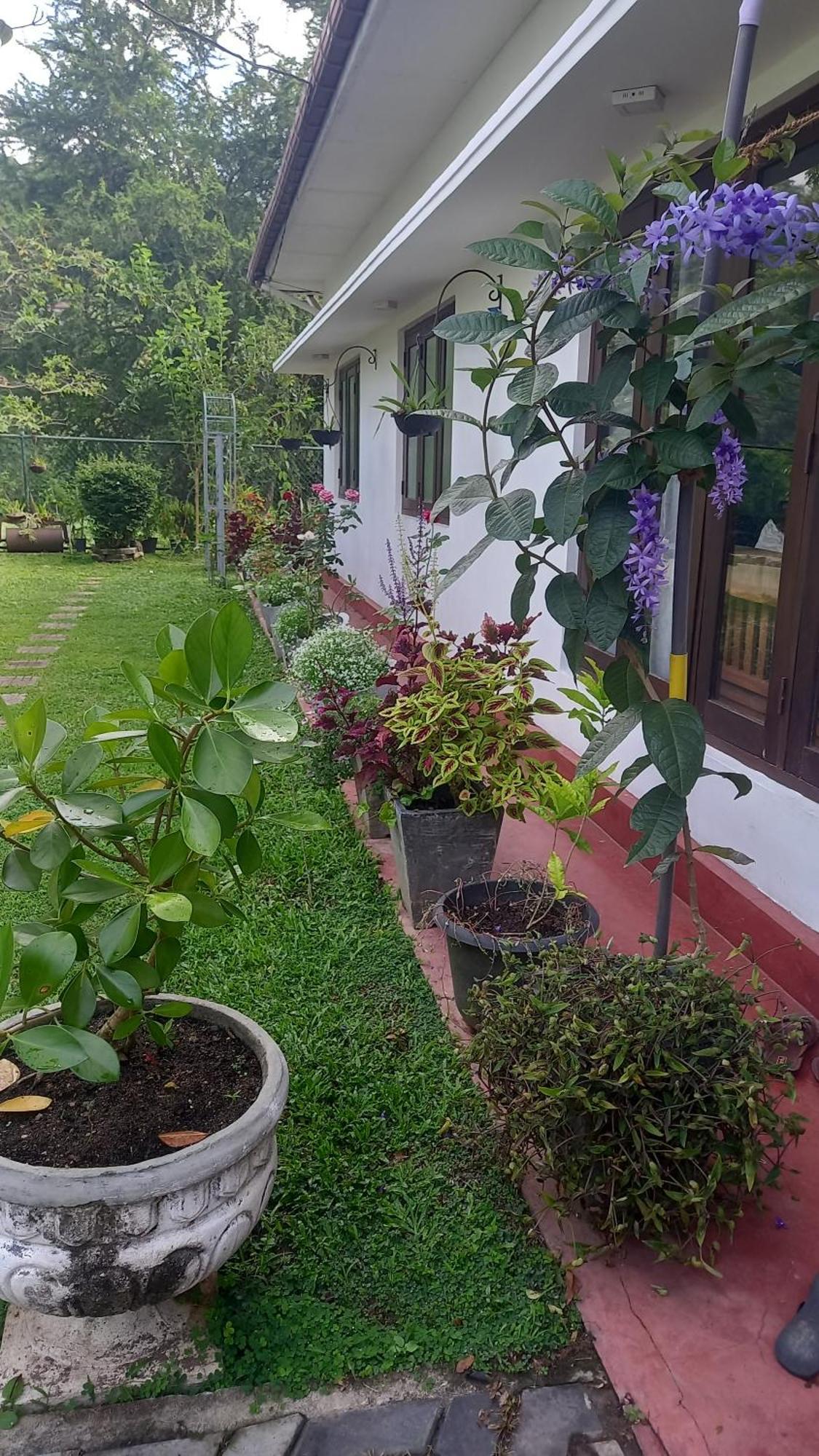 Hotel Mahaweli Shades Kandy Exteriér fotografie