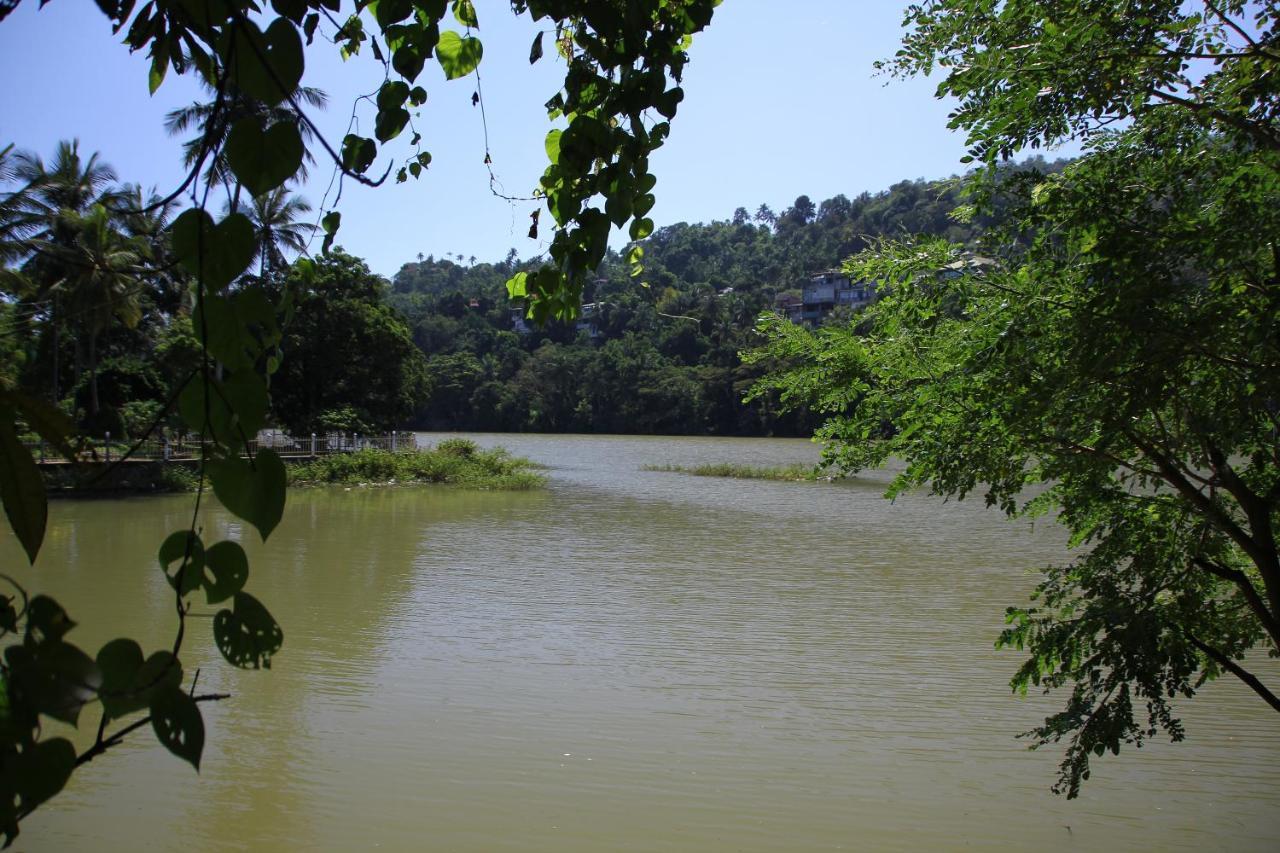 Hotel Mahaweli Shades Kandy Exteriér fotografie